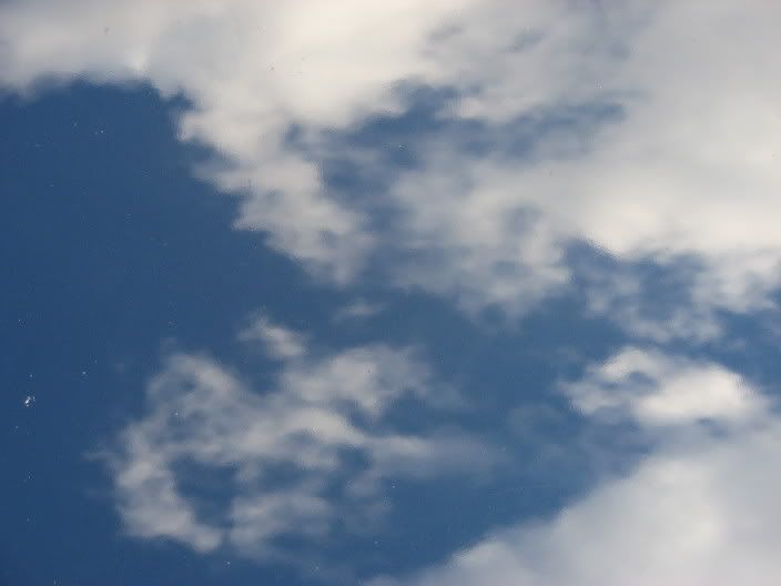 p608477_4.jpg
