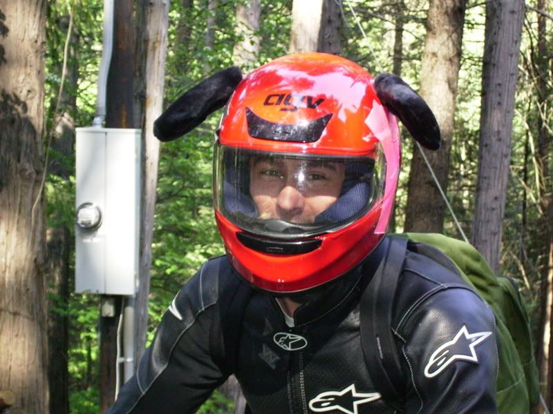 p615307_1.jpg