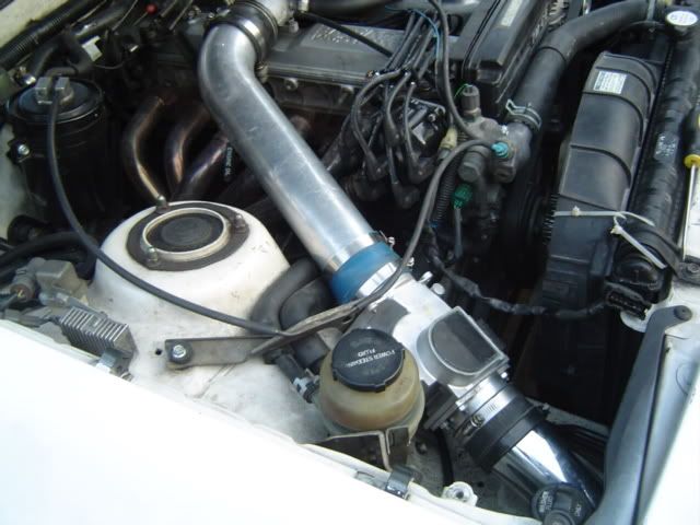 p623737_1.jpg