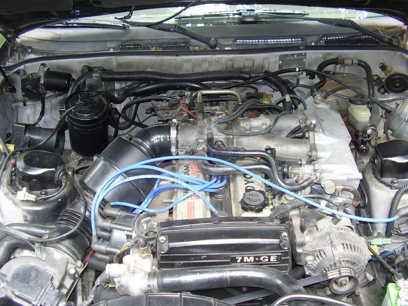 p647486_1.jpg