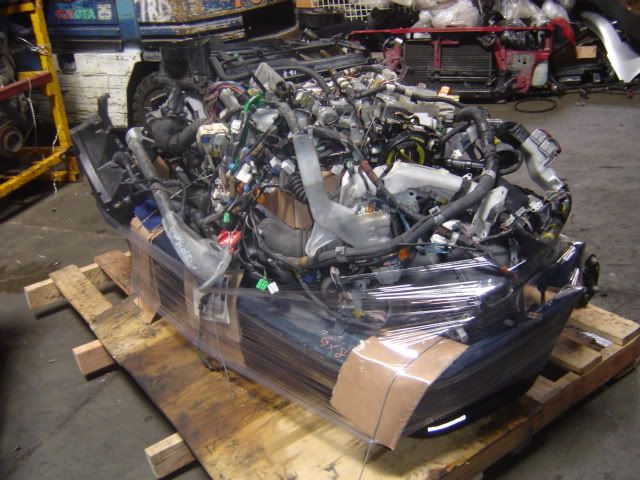 p650657_2.jpg