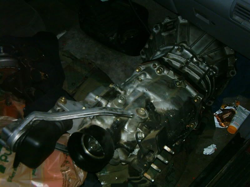p650658_2.jpg