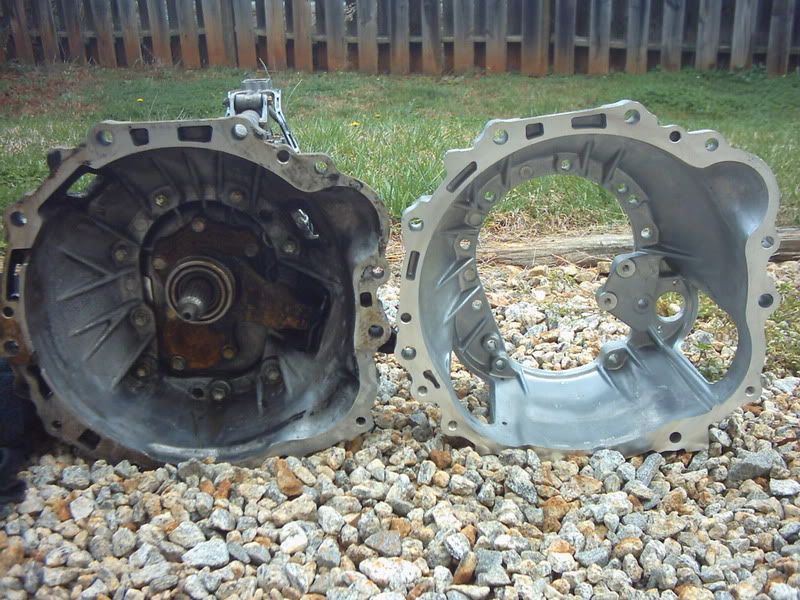 p650660_4.jpg