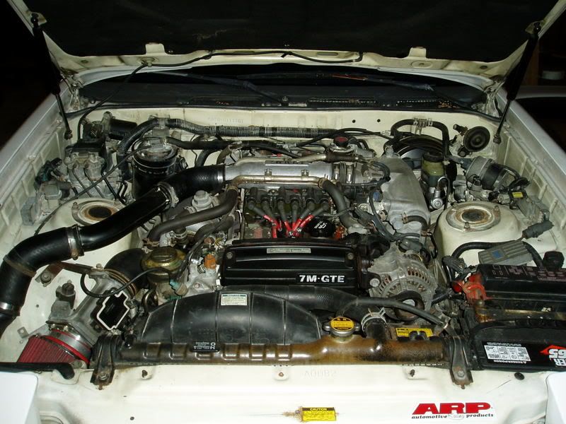p655174_1.jpg