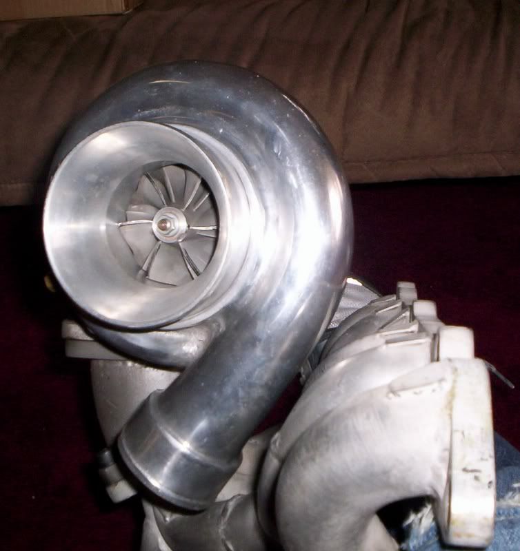 p659579_3.jpg