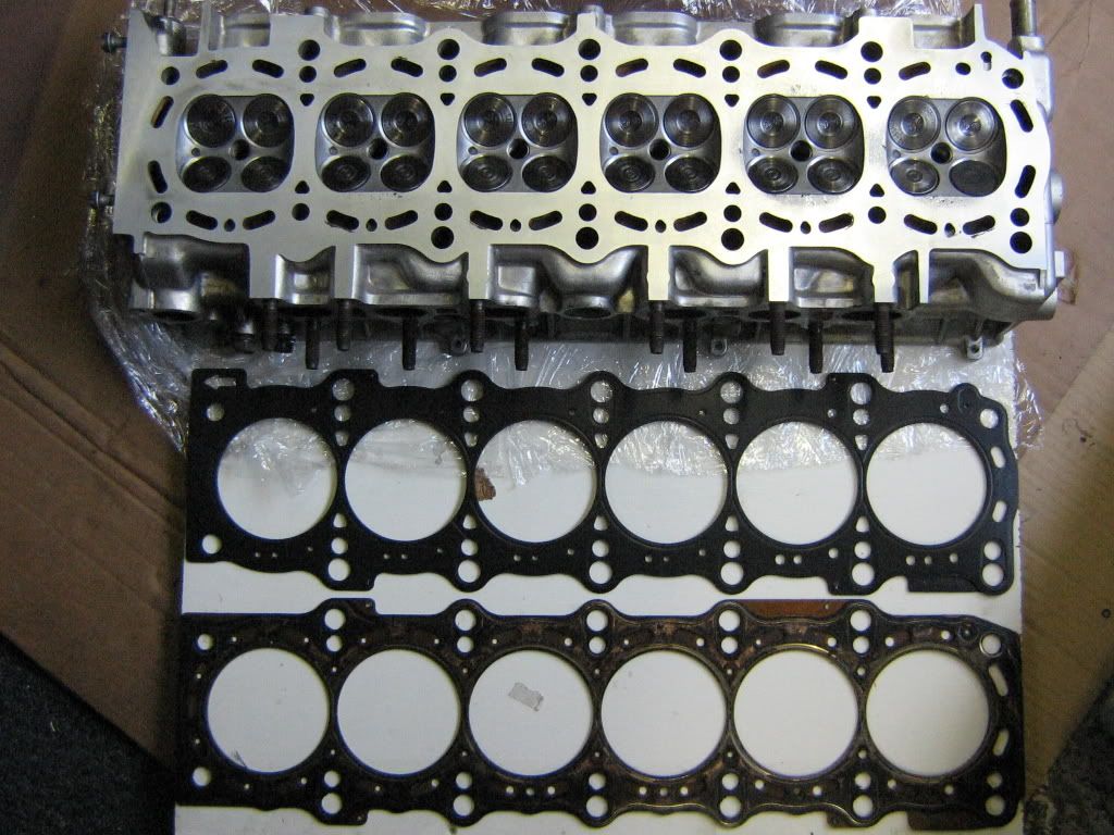 p660513_3.jpg