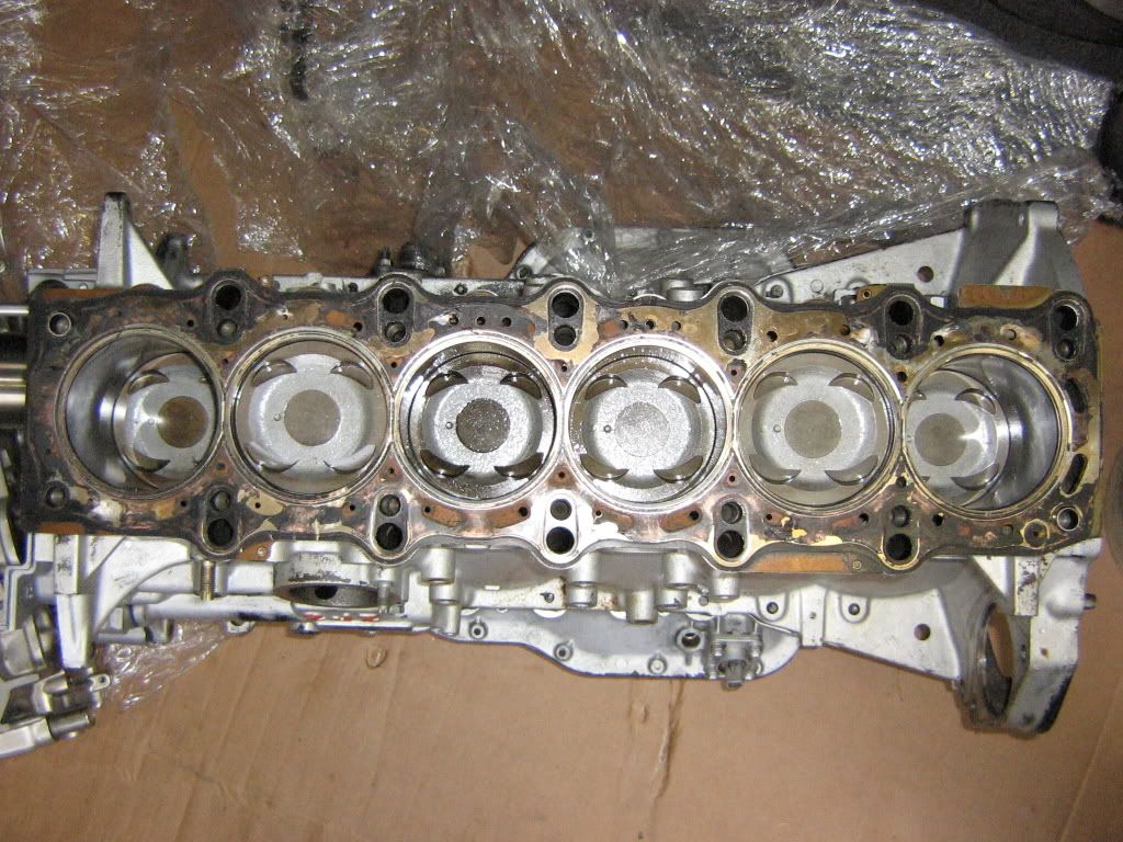 p660513_4.jpg