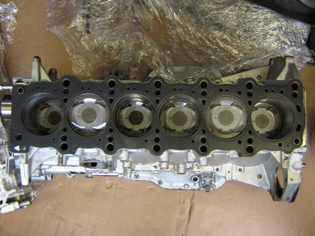 p660513_5.jpg