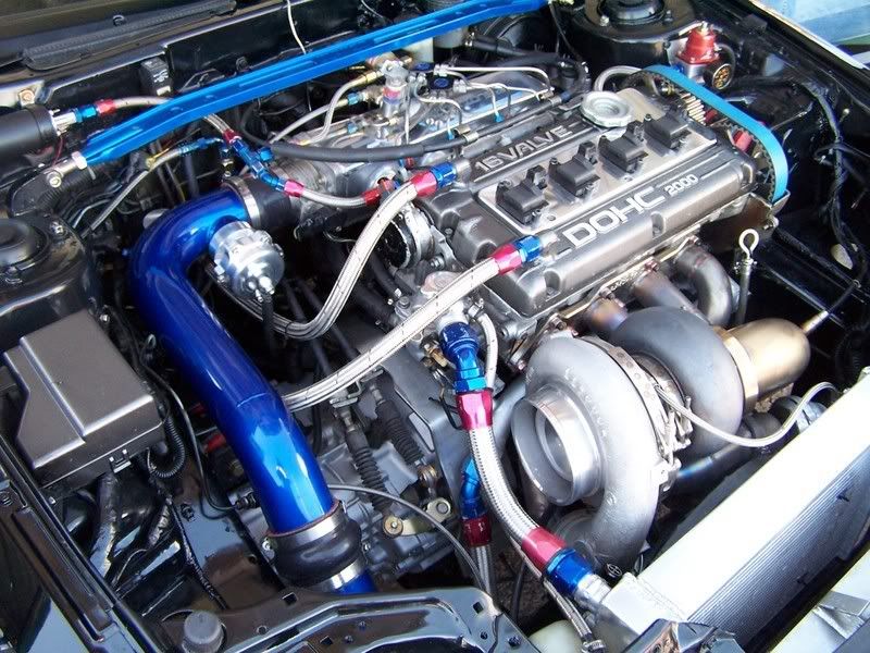 p678015_3.jpg