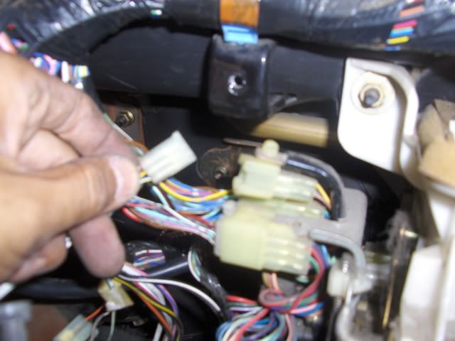 p690885_2.jpg