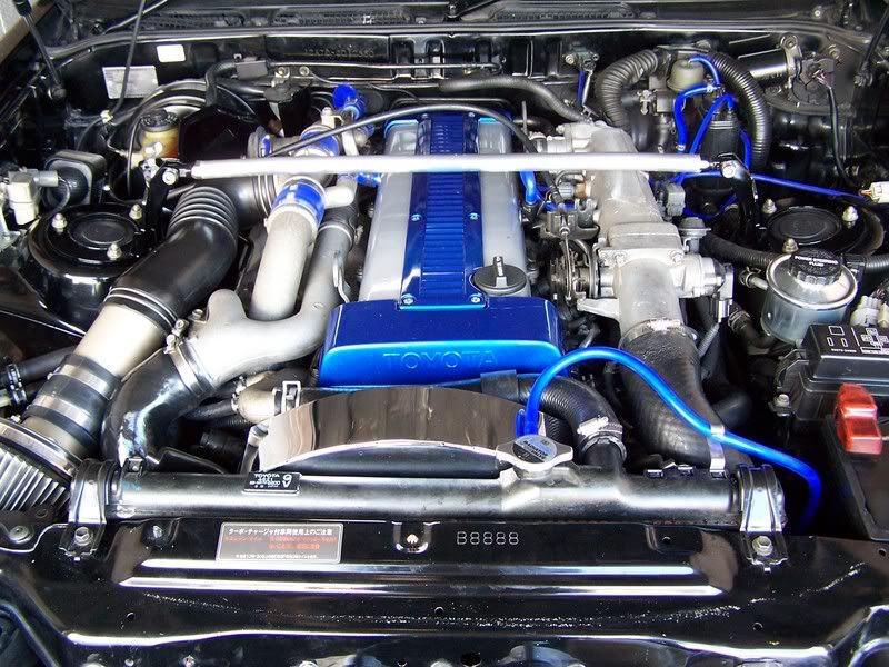 p704350_1.jpg