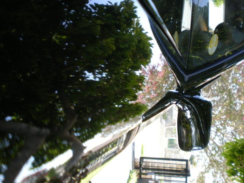 p706279_4.jpg