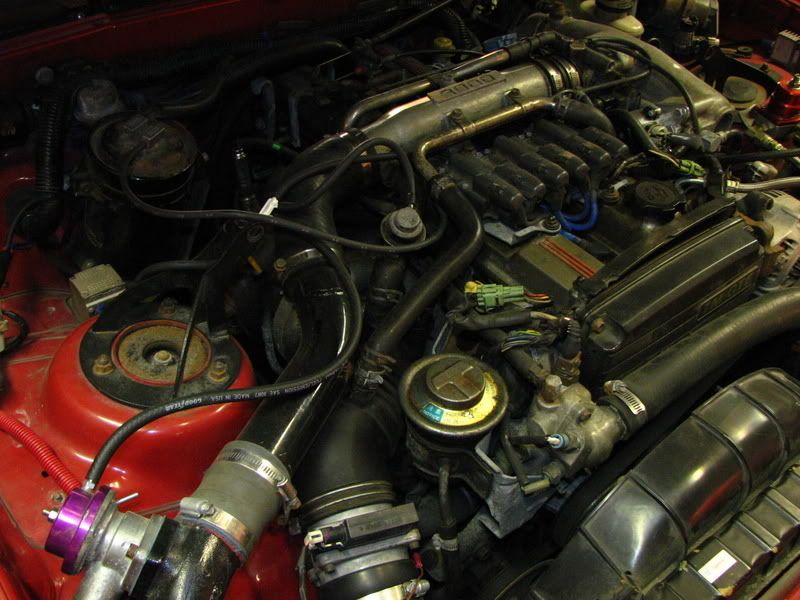 p707374_1.jpg