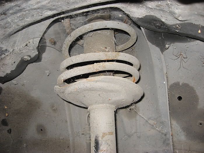 p757882_8.jpg