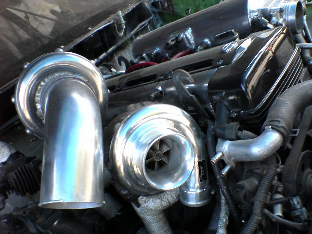 p779118_3.jpg