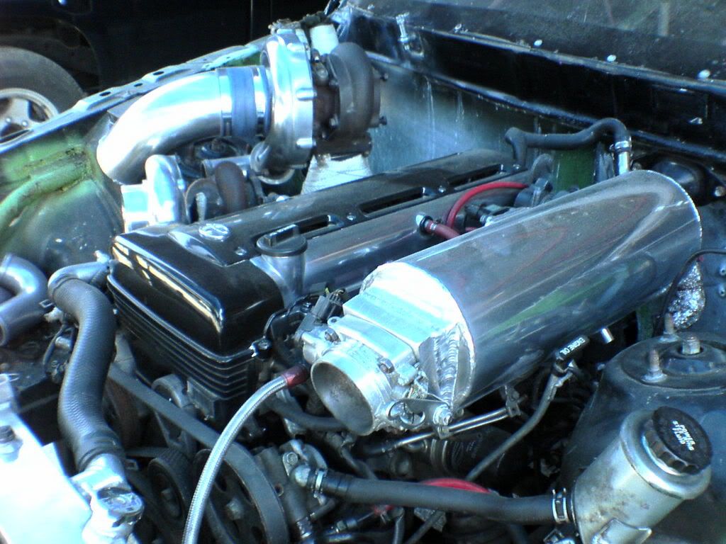 p779118_5.jpg