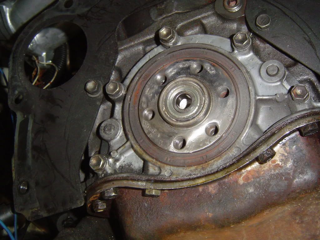 p787280_1.jpg