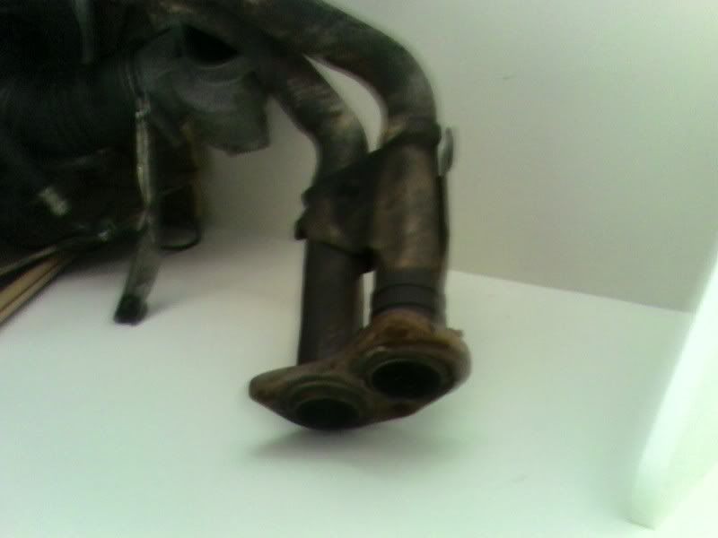 p788419_3.jpg