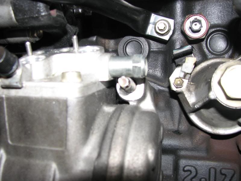 p789845_3.jpg