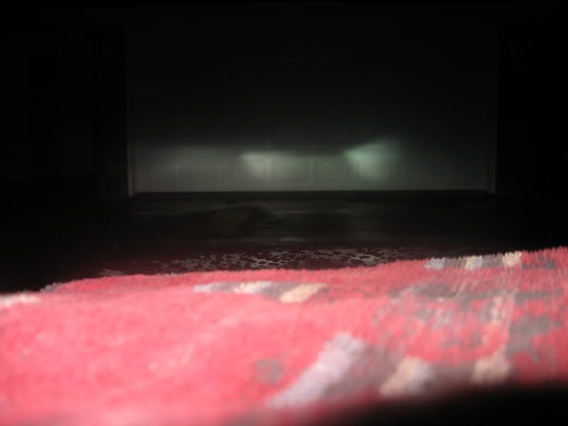 p794863_2.jpg