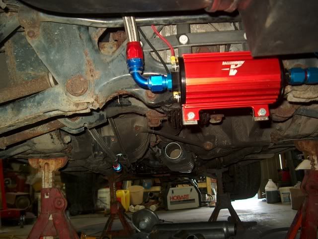 p796897_3.jpg