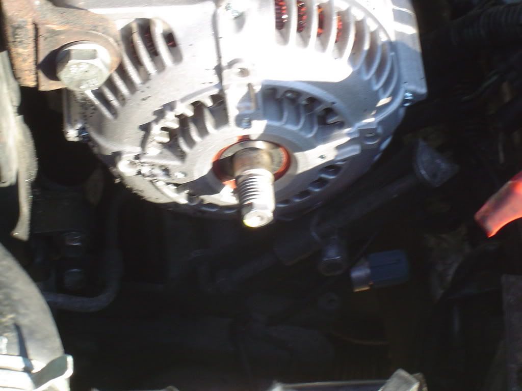 p800185_1.jpg