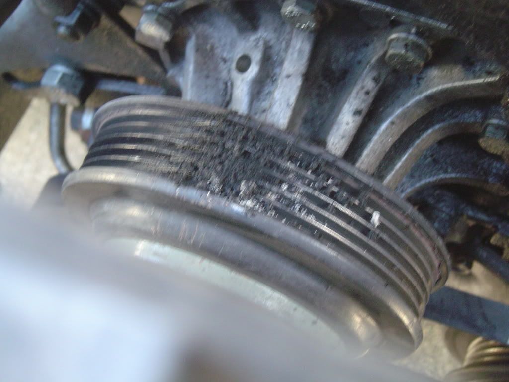 p800185_2.jpg