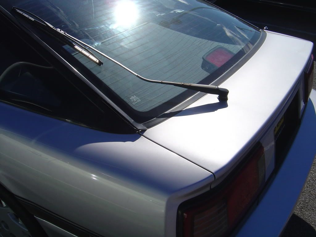 p802218_5.jpg