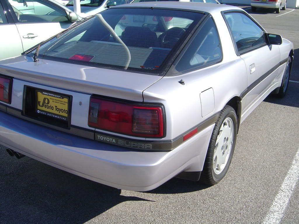 p802218_7.jpg