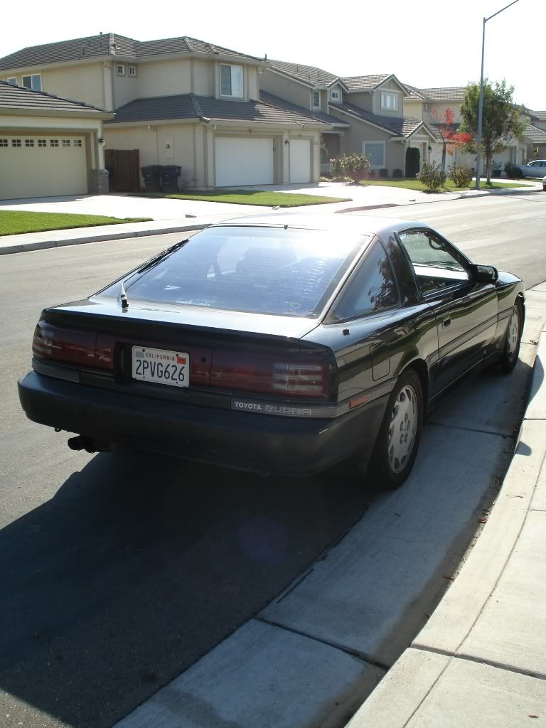 p805107_1.jpg