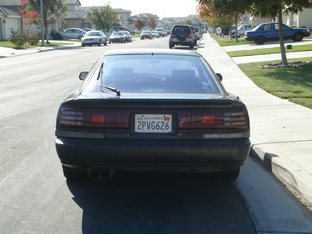p805107_2.jpg