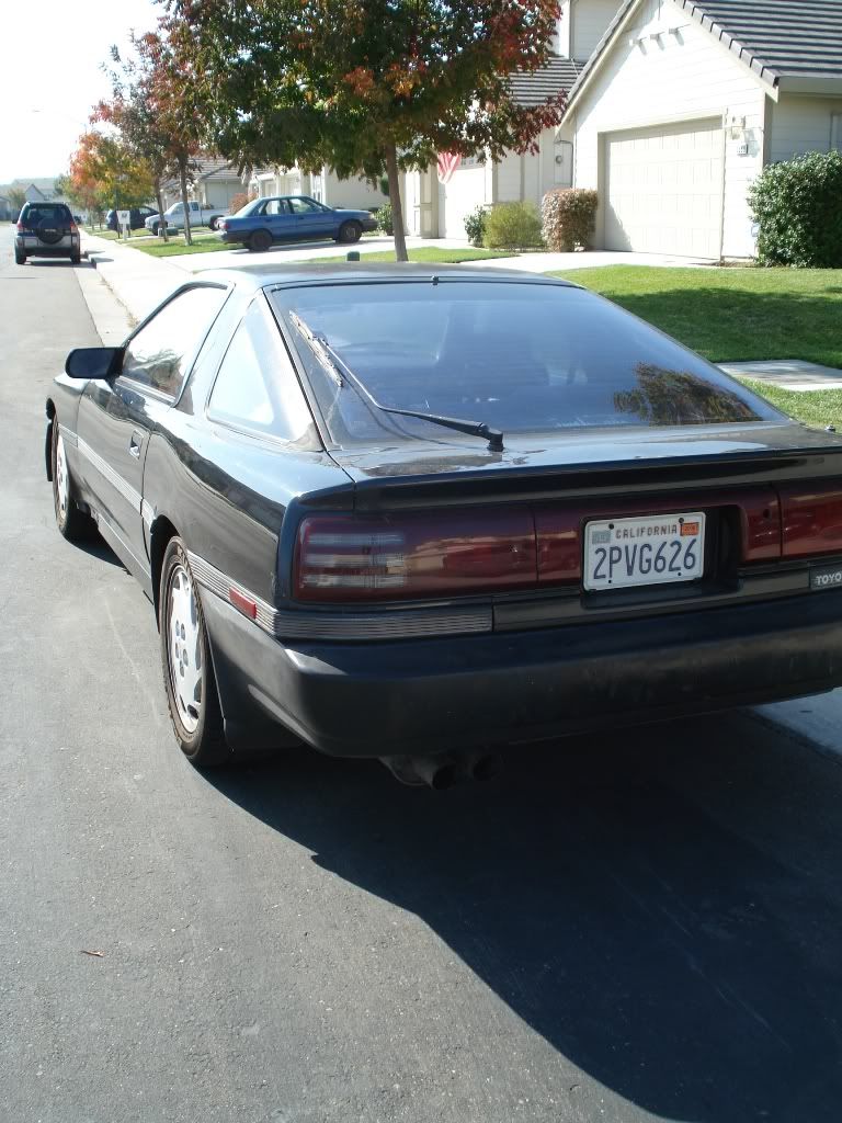 p805107_3.jpg