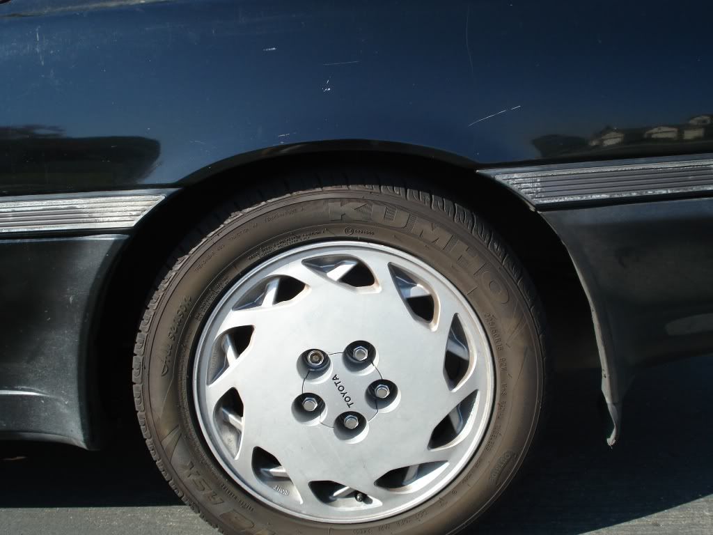 p805107_6.jpg