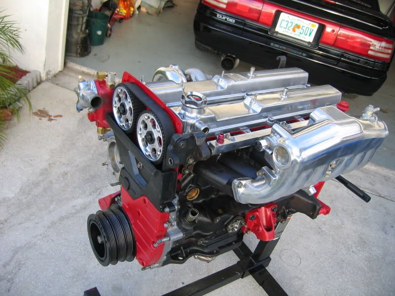 p805257_9.jpg