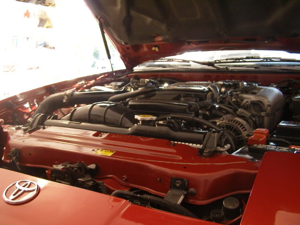 p811631_4.jpg