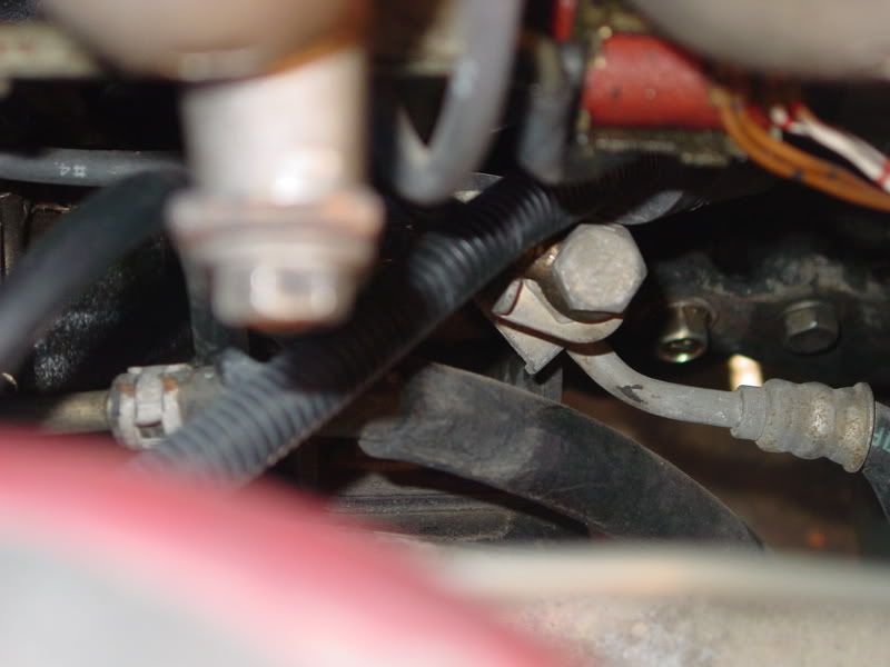 p811730_2.jpg