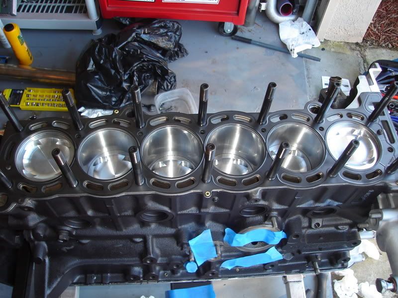 p813219_9.jpg
