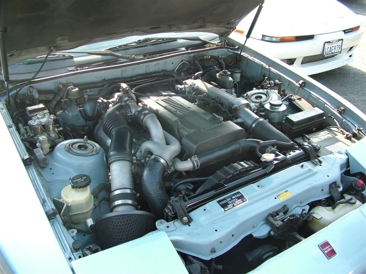 p81833_1.jpg