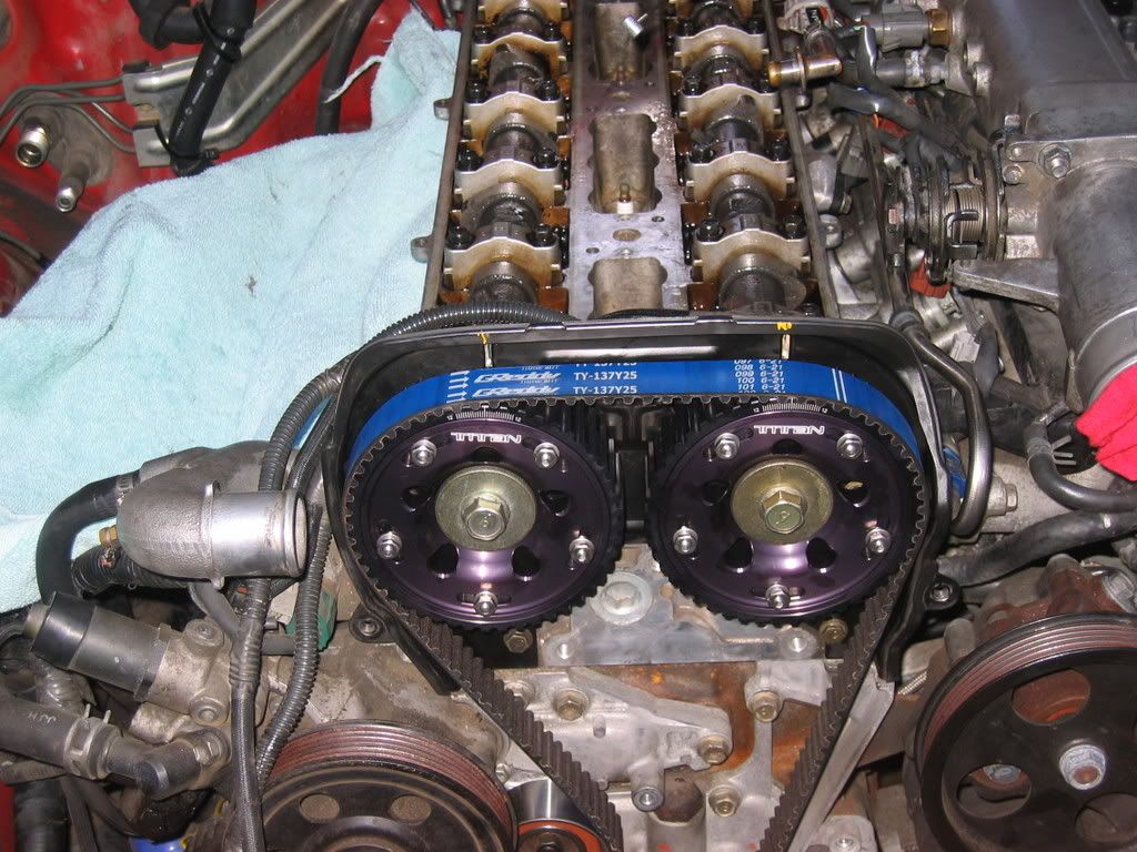 p827384_1.jpg