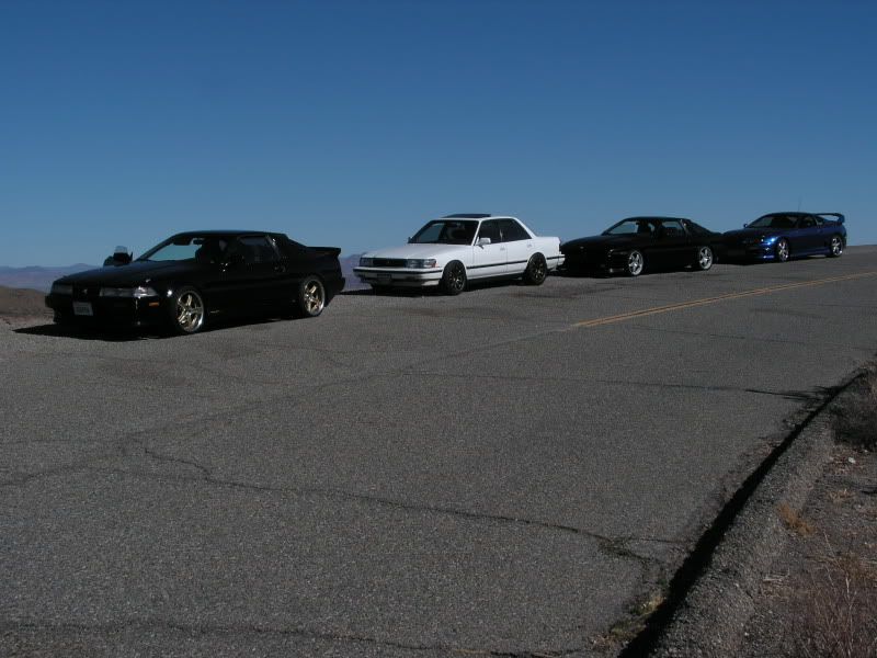 p827551_1.jpg