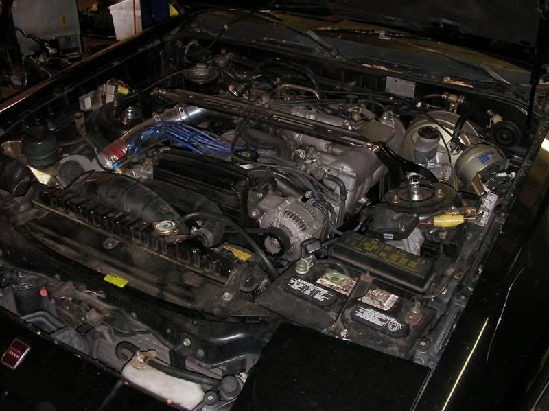 p828764_4.jpg