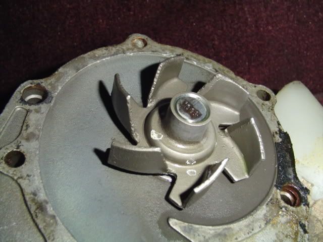 p842587_1.jpg