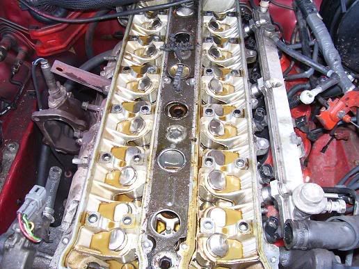 p845124_1.jpg