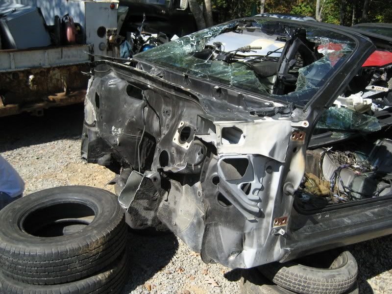 p859878_8.jpg