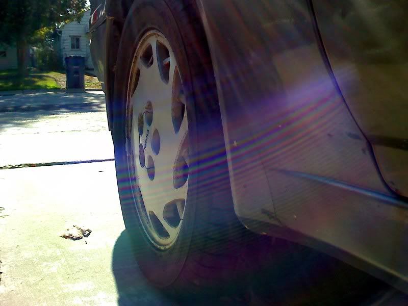 p862475_2.jpg