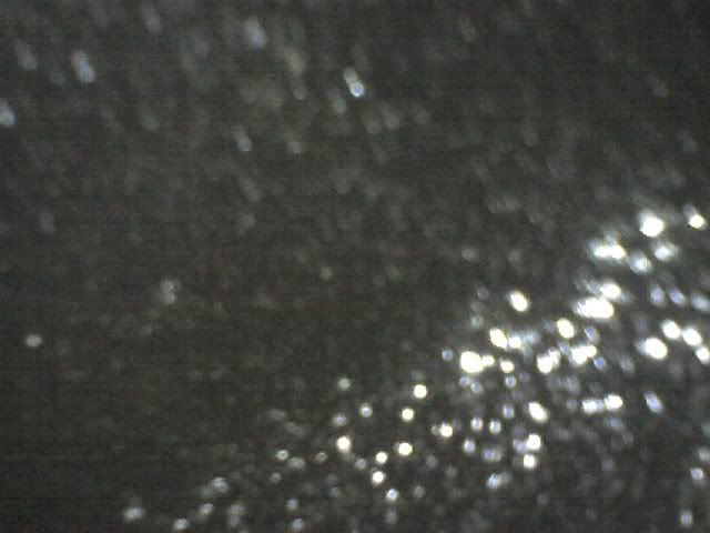 p872961_5.jpg