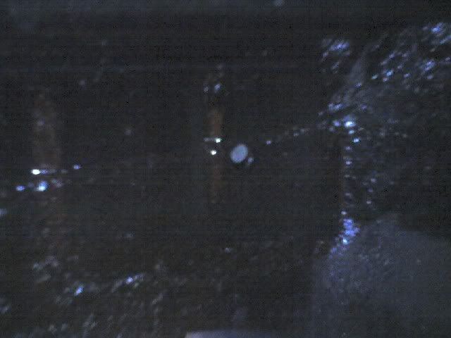 p872961_7.jpg