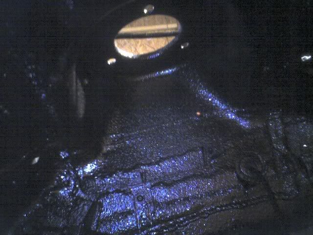 p872961_9.jpg