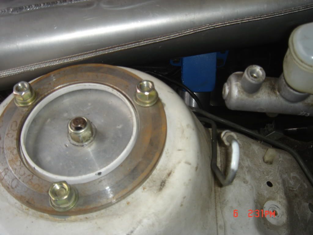 p875155_1.jpg