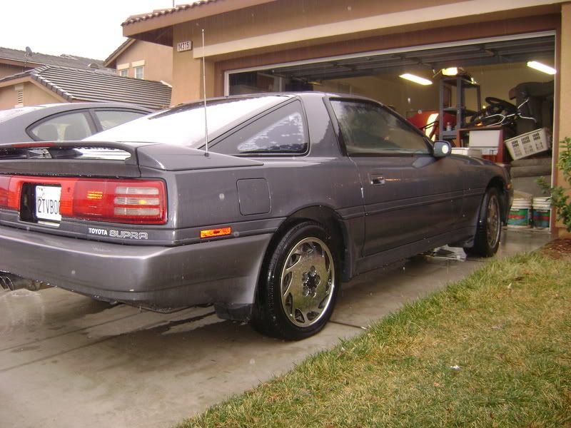 p900954_1.jpg